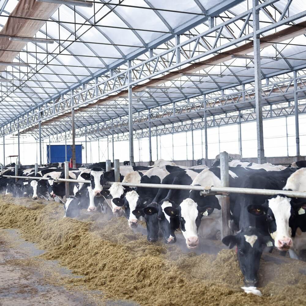 Ferme Miclerc