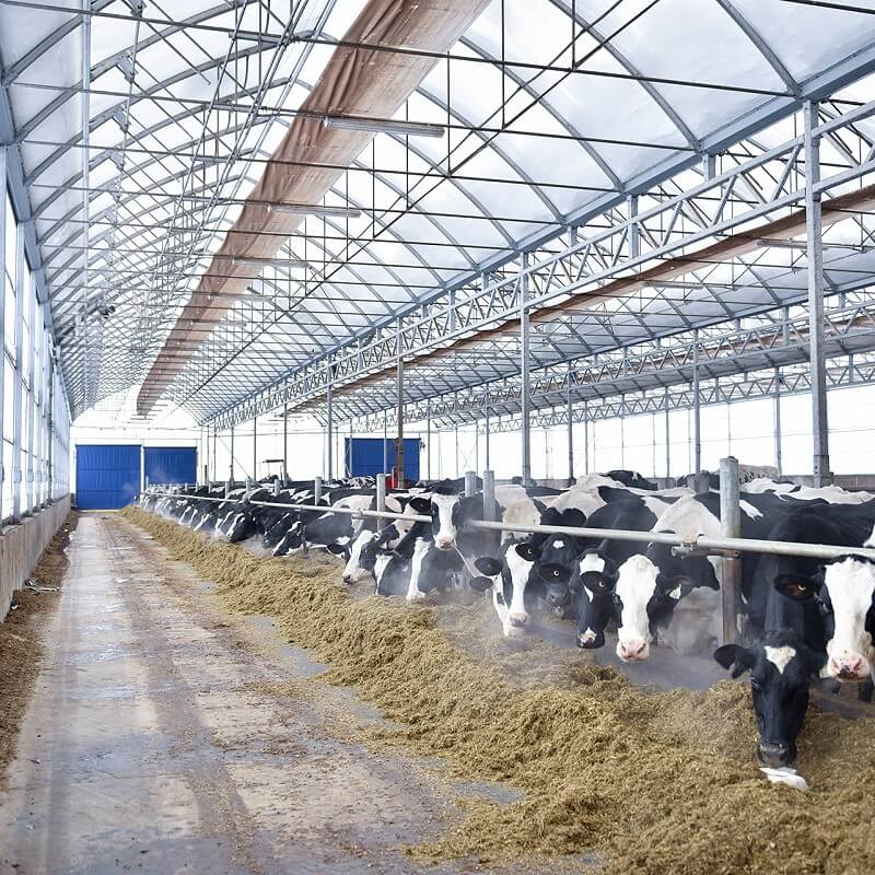 Agricole